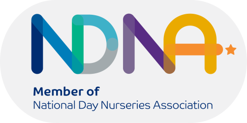 NDNA Logo